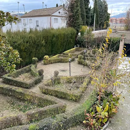 Huerto Del Medio *